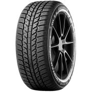 205/60 R16 96H Evergreen EW62