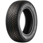 205/55 R17 95V Double Star DLA01