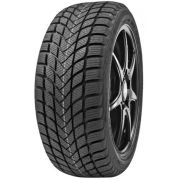 245/45 R18 100V Delinte Winter WD6